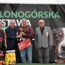 pieski2 153